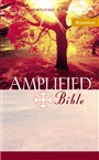 Amplified_Bible_Softcover__R14912480.jpg